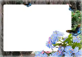 Fotoefect din categoria Rame foto pentru femei № 155873