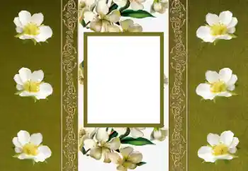 Fotoefect din categoria Rame foto pentru femei № 155880