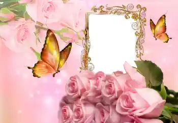 Fotoefect din categoria Rame foto pentru femei № 155883