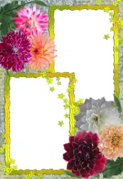 Fotoefect din categoria Rame foto pentru femei № 155888