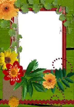 Fotoefect din categoria Rame foto pentru femei № 155889