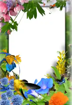 Fotoefect din categoria Rame foto pentru femei № 155924