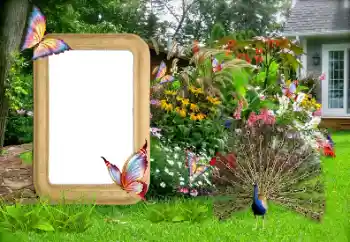 Fotoefect din categoria Rame foto pentru femei № 155936