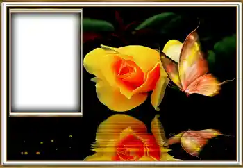 Fotoefect din categoria Rame foto pentru femei № 155958