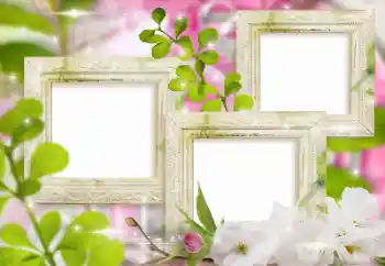 Fotoefect din categoria Rame foto pentru femei № 155999