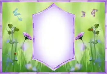 Fotoefect din categoria Rame foto pentru femei № 156003