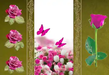 Fotoefect din categoria Rame foto pentru femei № 156050