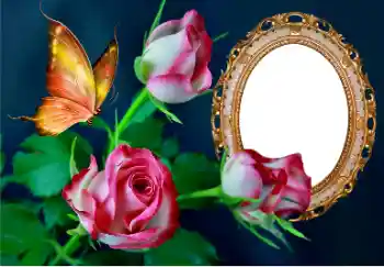 Fotoefect din categoria Rame foto pentru femei № 157089