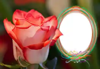 Fotoefect din categoria Rame foto pentru femei № 157090