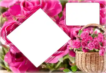 Fotoefect din categoria Rame foto pentru femei № 157091