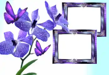 Fotoefect din categoria Rame foto pentru femei № 157133