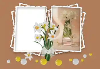 Fotoefect din categoria Rame foto pentru femei № 158348 Fotoefect din categoria Rame foto pentru femei № 158348