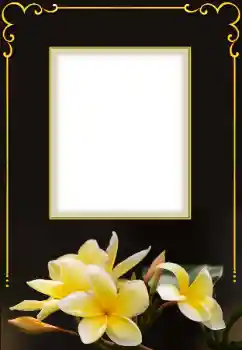 Fotoefect din categoria Rame foto pentru femei № 158432 Fotoefect din categoria Rame foto pentru femei № 158432