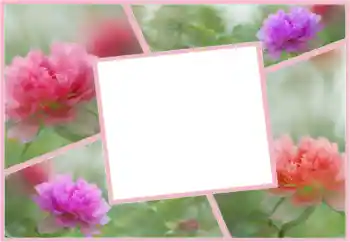 Fotoefect din categoria Rame foto pentru femei № 160554 Fotoefect din categoria Rame foto pentru femei № 160554