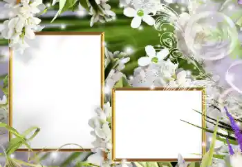 Fotoefect din categoria Rame foto pentru femei № 160610 Fotoefect din categoria Rame foto pentru femei № 160610