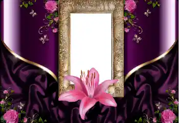 Fotoefect din categoria Rame foto pentru femei № 160698