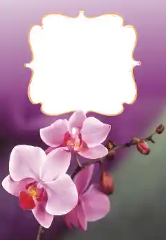 Fotoefect din categoria Rame foto pentru femei № 160699
