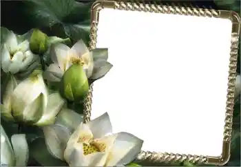 Fotoefect din categoria Rame foto pentru femei № 160750