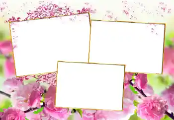 Fotoefect din categoria Rame foto pentru femei № 160777