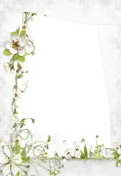 Fotoefect din categoria Rame foto pentru femei № 160795