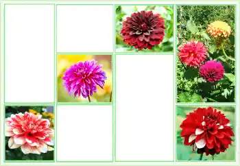Fotoefect din categoria Rame foto pentru femei № 160824