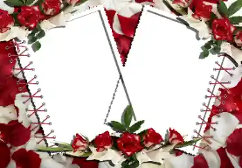 Fotoefect din categoria Rame foto pentru femei № 160866