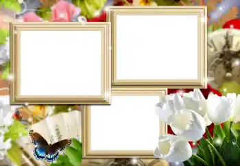 Fotoefect din categoria Rame foto pentru femei № 161970 Fotoefect din categoria Rame foto pentru femei № 161970