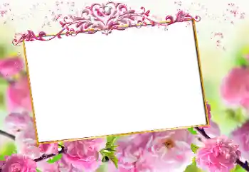 Fotoefect din categoria Rame foto pentru femei № 163327