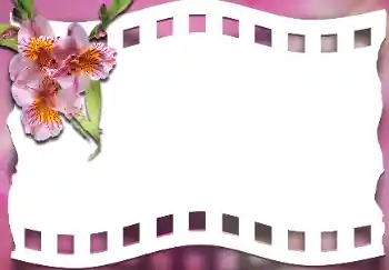Fotoefect din categoria Rame foto pentru femei № 163337