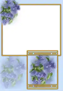 Fotoefect din categoria Rame foto pentru femei № 163338
