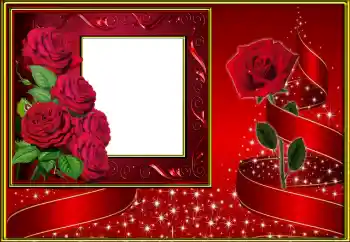 Fotoefect din categoria Rame foto pentru femei № 163511