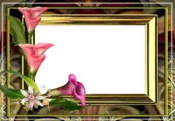 Fotoefect din categoria Rame foto pentru femei № 163528