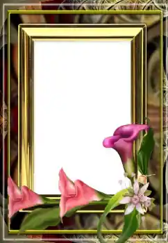 Fotoefect din categoria Rame foto pentru femei № 163529