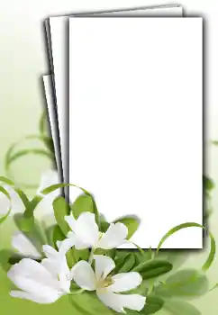 Fotoefect din categoria Rame foto pentru femei № 163548