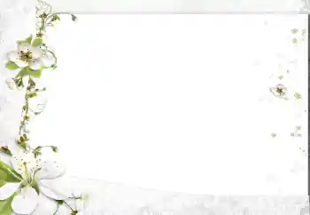 Fotoefect din categoria Rame foto pentru femei № 163602