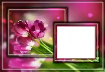 Fotoefect din categoria Rame foto pentru femei № 164601