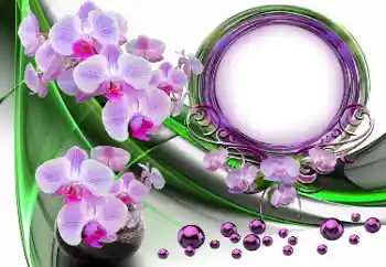 Fotoefect din categoria Rame foto pentru femei № 164609