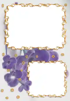 Fotoefect din categoria Rame foto pentru femei № 164696
