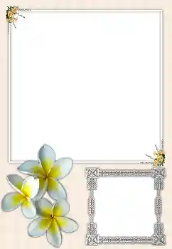 Fotoefect din categoria Rame foto pentru femei № 164699