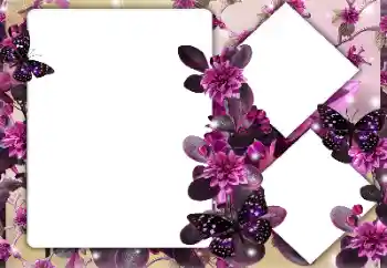 Fotoefect din categoria Rame foto pentru femei № 164747