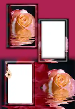 Fotoefect din categoria Rame foto pentru femei № 164787 Fotoefect din categoria Rame foto pentru femei № 164787