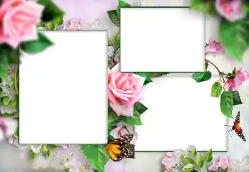 Fotoefect din categoria Rame foto pentru femei № 166108 Fotoefect din categoria Rame foto pentru femei № 166108