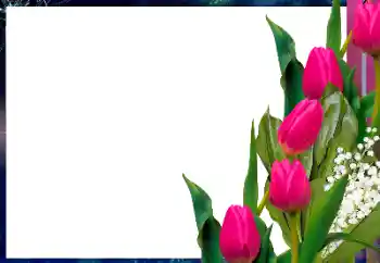 Fotoefect din categoria Rame foto pentru femei № 166133 Fotoefect din categoria Rame foto pentru femei № 166133