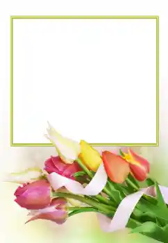 Fotoefect din categoria Rame foto pentru femei № 166153 Fotoefect din categoria Rame foto pentru femei № 166153