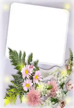 Fotoefect din categoria Rame foto pentru femei № 166155 Fotoefect din categoria Rame foto pentru femei № 166155