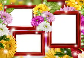 Fotoefect din categoria Rame foto pentru femei № 166266 Fotoefect din categoria Rame foto pentru femei № 166266