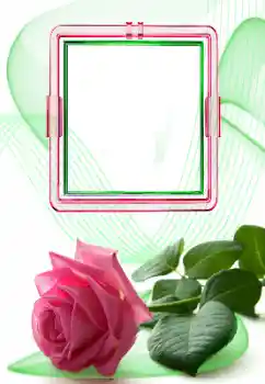 Fotoefect din categoria Rame foto pentru femei № 166634 Fotoefect din categoria Rame foto pentru femei № 166634