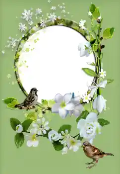 Fotoefect din categoria Rame foto pentru femei № 167829 Fotoefect din categoria Rame foto pentru femei № 167829
