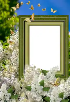 Fotoefect din categoria Rame foto pentru femei № 169023 Fotoefect din categoria Rame foto pentru femei № 169023
