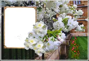 Fotoefect din categoria Rame foto pentru femei № 169025 Fotoefect din categoria Rame foto pentru femei № 169025